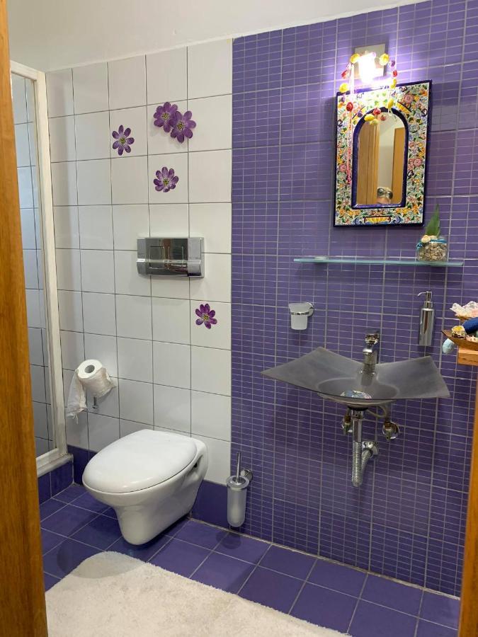 Cactus Suite Принос Экстерьер фото